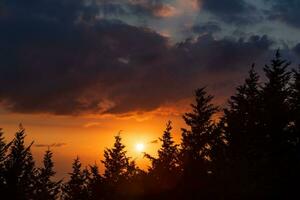 Panorama- Aussicht von ein Sonnenuntergang Über Wald foto