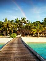 hölzern Brücke zu Insel Strand Resort foto