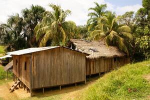 Peru, peruanisch Amazonas Landschaft. das Foto Geschenk typisch indisch Stämme Siedlung im Amazonas