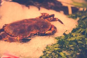 Barcelona, la Boqueria ein bedeckt Markt zum Fisch, Fleisch, Gemüse, Früchte und Lebensmittel von alle Arten foto