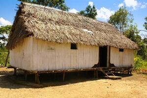 Peru, peruanisch Amazonas Landschaft. das Foto Geschenk typisch indisch Stämme Siedlung im Amazonas