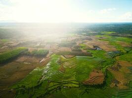 terrassiert Reis Feld und Ackerland im Landschaft, Drohne Sicht. foto