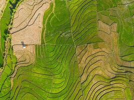 Drohne Aussicht von terrassiert Reis Felder im Vietnam. foto