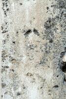 Detail von erodiert Gebäude Mauer. uralt beschädigt Mauer. foto
