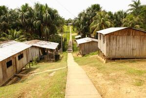 Peru, peruanisch Amazonas Landschaft. das Foto Geschenk typisch indisch Stämme Siedlung im Amazonas