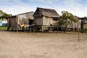 Peru, peruanisch Amazonas Landschaft. das Foto Geschenk typisch indisch Stämme Siedlung im Amazonas