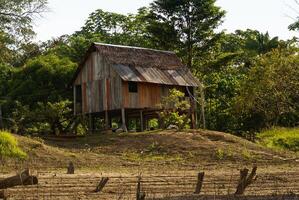 Peru, peruanisch Amazonas Landschaft. das Foto Geschenk typisch indisch Stämme Siedlung im Amazonas