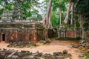 ta prohm Tempel, Angkor, in der Nähe von siem ernten, Kambodscha foto