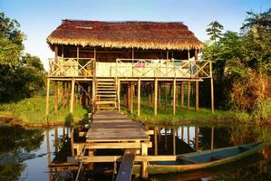 Peru, peruanisch Amazonas Landschaft. das Foto Geschenk typisch indisch Stämme Siedlung im Amazonas