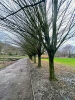 regnerisch nass Pfad im ein verwüsten Park foto