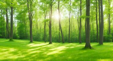 ai generiert Natur Holz Sonnenlicht Hintergrund. Sommer- sonnig Wald Bäume und Grün Gras foto