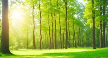 ai generiert Natur Holz Sonnenlicht Hintergrund. Sommer- sonnig Wald Bäume und Grün Gras foto