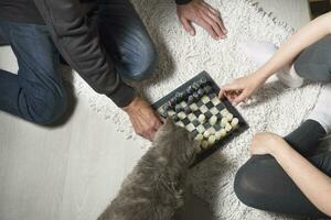 verheiratet Paar spielen Schach auf das Teppich und ein grau Katze Aufpassen das Spiel, Abend Spiele beim Zuhause mit Familie foto