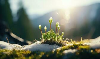 ai generiert schön Schneeglöckchen Blumen wachsend im Wald, Nahaufnahme. früh Frühling. selektiv Fokus, Bokeh Licht foto