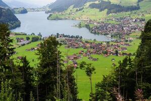 Panorama- Aussicht von Grindelwald Dorf, Schweiz foto