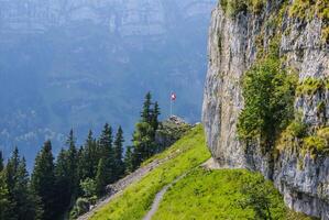 Klippen bedeckt mit Bäume in der Nähe von ebenalp, Schweiz foto