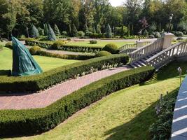 Landschaftsgestaltung und Gartenpflanzenkomposition foto