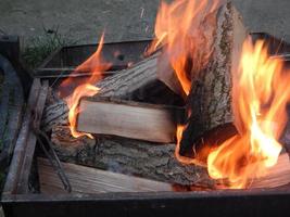 Feuer brennt im Wald auf Holz foto