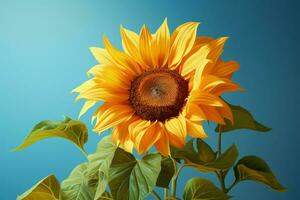 ai generiert sonnig Eleganz ein hell Sonnenblume Gnaden ein lebendig Blau Hintergrund foto