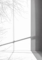 Hintergrund Weiß Mauer Studio mit Licht Schatten Fenster Rahmen auf Oberfläche Boden, leer Küche Zimmer mit Podium Anzeige Modell, oben Regal Bar mit Sonnenlicht, Hintergrund Beton Hintergrund zum kosmetisch Produkt foto