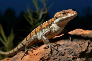 ai generiert Felsen Wohnung skink aalen Eidechse auf ein sonnendurchflutet felsig Barsch foto