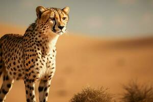 ai generiert Wüste Szene mit ein Gepard, Angebot öffnen Bereiche zum Text foto