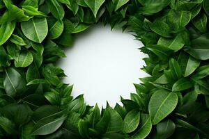ai generiert Grün Blätter bilden ein kreisförmig Rahmen mit Weiß Center, oben Aussicht foto