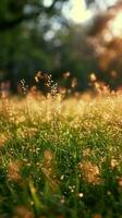 ai generiert Sonne geküsst Wiese alpin Gras glänzt unter das strahlend Sonnenlicht Vertikale Handy, Mobiltelefon Hintergrund foto
