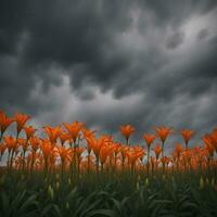 ai generiert ein Feld von Orange Blumen unter ein stürmisch Himmel foto