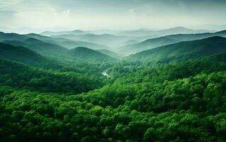 ai generiert Antenne Aussicht von Grün Wald foto