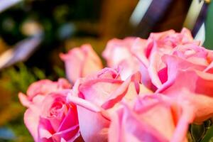 oben Aussicht und Nahansicht von Hochzeit Rosa Rosen Blume Strauß auf verschwommen Hintergrund. foto