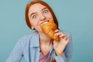 schließen oben von hungrig hungern rothaarig Mädchen Essen Croissant starren beim Kamera, isoliert auf ein Blau Hintergrund. foto