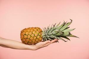 Studio Foto von saftig frisch Ananas Lügen horizontal auf elegant angehoben weiblich Palme während posieren Über Rosa Hintergrund. frisch Früchte und Essen Konzept