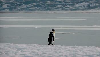 ai generiert ein Pinguin Stehen auf das Schnee bedeckt Boden foto