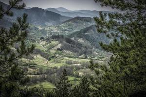 schöne aussicht auf die mokra gora landschaft im frühling foto