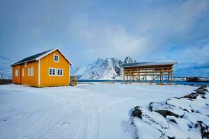 rorbu Haus und Trocknen Flocken zum Stockfisch Kabeljau Fisch im Winter. Lofoten Inseln, Norwegen foto