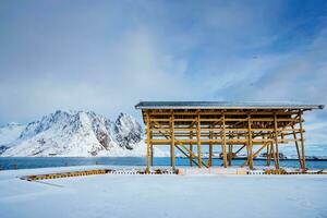 Trocknen Flocken zum Stockfisch Kabeljau Fisch im Winter. Lofoten Inseln, Norwegen foto