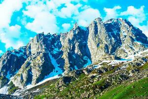 Landschaft im das Berge. Panorama- Aussicht von das oben von sonmarg, Kaschmir Senke im das Himalaya Region. Wiesen, alpin Bäume, Wildblumen und Schnee auf Berg im Indien. Konzept Reise Natur. foto