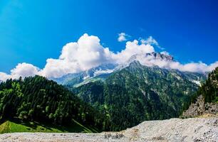 Landschaft im das Berge. Panorama- Aussicht von das oben von sonmarg, Kaschmir Senke im das Himalaya Region. Wiesen, alpin Bäume, Wildblumen und Schnee auf Berg im Indien. Konzept Reise Natur. foto