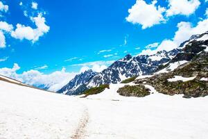 Landschaft im das Berge. Panorama- Aussicht von das oben von sonmarg, Kaschmir Senke im das Himalaya Region. Wiesen, alpin Bäume, Wildblumen und Schnee auf Berg im Indien. Konzept Reise Natur. foto