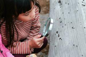 süß wenig Mädchen erkunden das Natur mit Vergrößerung Glas draussen. Kind spielen im das Wald mit Vergrößerung Glas. Bildung und Entdeckung Konzept foto