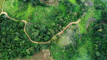 Antenne Aussicht von Drohne von Berg Straße mit Sonne leuchtenden im Wald. oben Aussicht von ein Straße auf ein Hügel im ein schön üppig Grün Wald im Thailand. natürlich Landschaft Hintergrund. foto