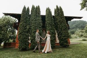 Bräutigam und Braut im das Park im Natur, Grün Thuja Bäume auf das Hintergrund. Kuss. Foto Porträt. Hochzeit Paar
