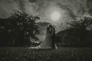 ein schön Hochzeit, ein schön Paar im Liebe, Lachen und küssen gegen das Hintergrund von ein Grün Garten. hoch Qualität Foto. schwarz und Weiß Foto