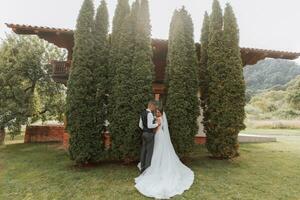 ein schön Hochzeit, ein schön Paar im Liebe, Lachen und küssen gegen das Hintergrund von ein Grün Garten. hoch Qualität Foto