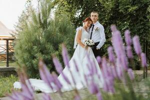 Porträt von das Braut und Bräutigam im das Park, das Braut und Bräutigam sind umarmen und zärtlich küssen. ein Lavendel Busch im das Vordergrund. Hochzeit gehen im das Park. lange Zug von das Kleid foto