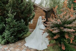 modisch Bräutigam und süß Braut im Weiß Kleid mit Krone umarmen im Park, Garten, Wald draußen. Hochzeit Fotografie, Porträt von lächelnd Jungvermählten. foto