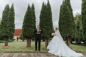 das Braut und Bräutigam Pose gegen das Hintergrund von Grün Bäume. Hochzeit gehen im Natur im das Park foto