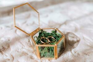 Hochzeit Ringe Lüge im ein schön Glas Box auf Grün Moos. Einzelheiten von das Verb während das Morgen Treffen foto