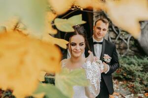 Bräutigam und Braut im Herbst Wald mit Schmetterlinge um, Hochzeit Zeremonie, Seite Sicht. Braut und Bräutigam auf das Hintergrund von vergilbt Herbst Blätter foto